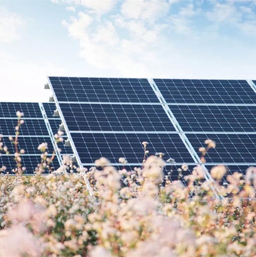 可用于發電的太陽能染料已經取得了進展(圖1) 太陽能電池板